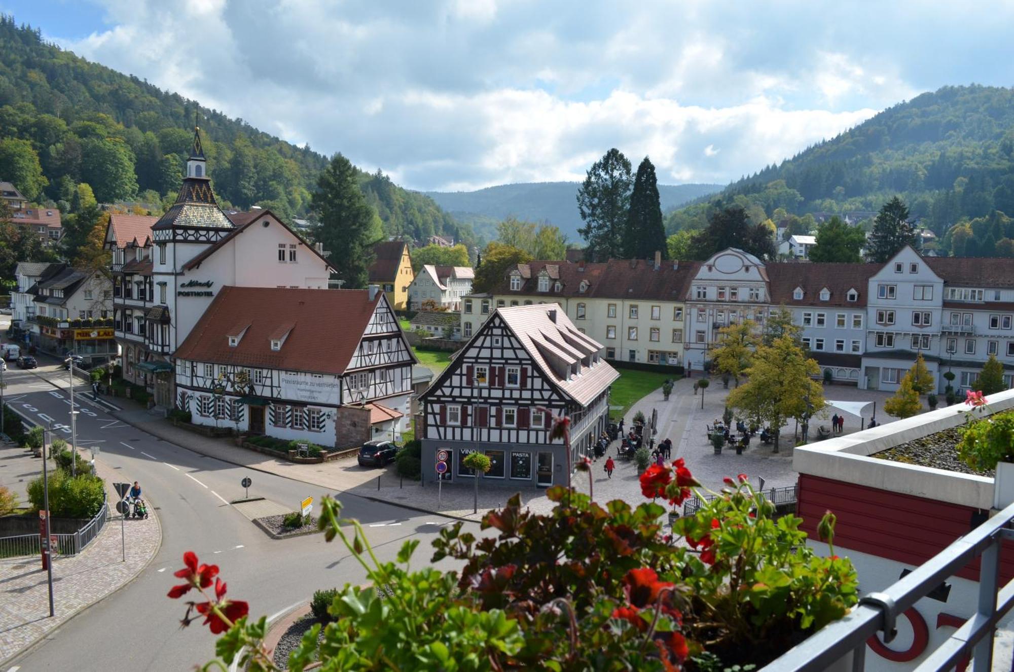 Hotel Harzer Am Kurpark Bad Herrenalb Buitenkant foto